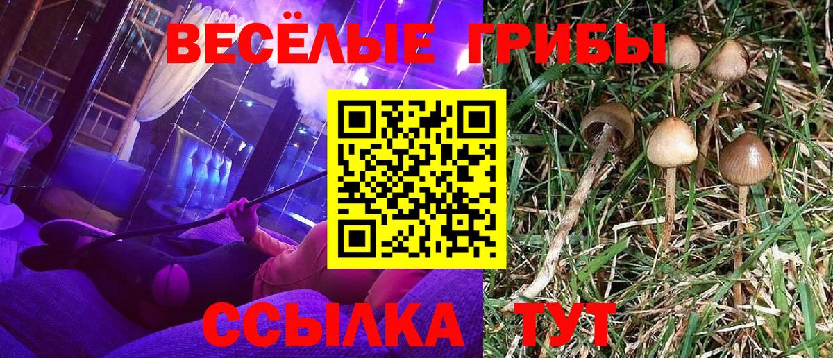 Галлюциногенные грибы Psilocybe  Вход с VPN  Богородск  Галлюциногенные грибы ЛСД 