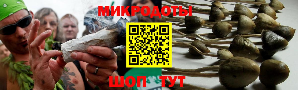 Псилоцибиновые грибы Cubensis Богородск